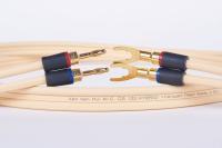 Van den Hul The CS-122 Hybrid