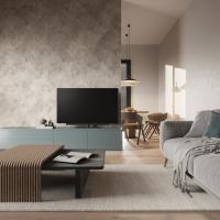 Loewe bild 5.55 basalt grey