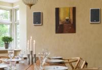 DALI OBERON ON-WALL White настенная акустика