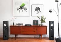 Triangle BOREA BR07 Black Ash напольная акустика_7