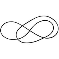 Пассик Pro-Ject Xper_Perspex_X-Tension