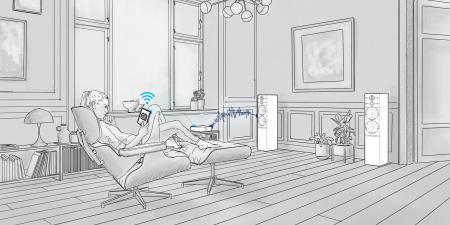 Передающий блок DALI Sound Hub