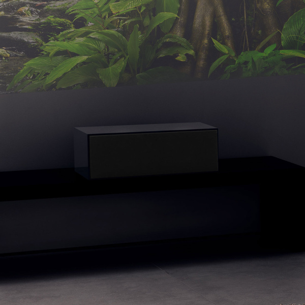 Bowers & Wilkins HTM72 S2 Gloss Black центральный канал_4