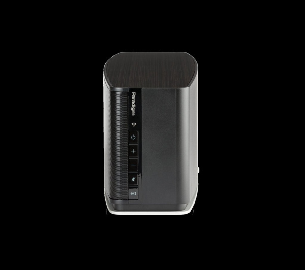Paradigm PW 800 Black_2