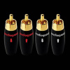 AudioQuest RCA-300 Male4