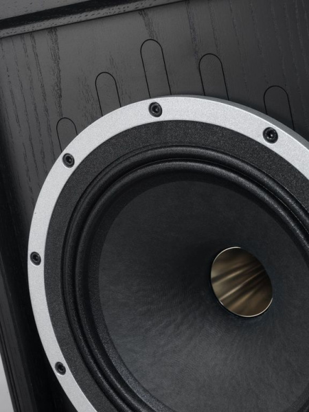 Tannoy Kensington GR Black Oak напольная акустика_3