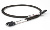 TelluriumQ Silver Diamond RCA-RCA_2