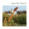 Walter Trout – Common ground