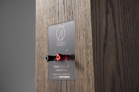 Напольная акустика OAudio Frigg 02