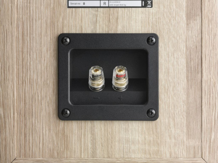 DALI OBERON 3 Light Oak напольная акустика_5