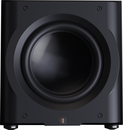 Perlisten D12s_2