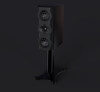 Perlisten S4m_5