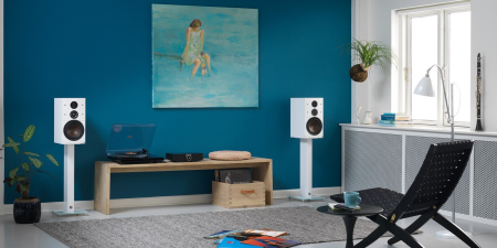 callisto-2-c-white-location