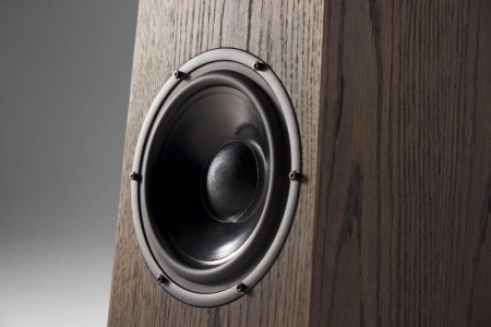 Напольная акустика OAudio Frigg 02