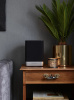 Беспроводная система Electrocompaniet Tana SL2 Black Wool-Silver Aluminium_3