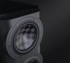 Perlisten S4m_3